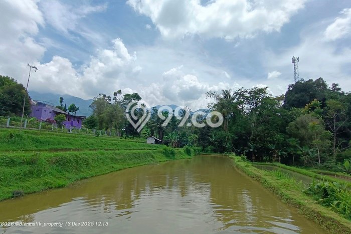 Jarang Ada! Tanah di Wanayasa Punya Luas 800m2 SHM Jarang Ada! Tanah di Wanayasa Punya Luas 800m2 SHM