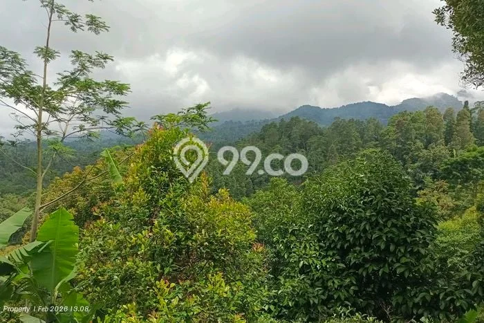 Kavling Tanah Dijual di Bojong, Purwakarta, Luas 2093m2 Area Strategis Kavling Tanah Dijual di Bojong, Purwakarta, Luas 2093m2 Area Strategis
