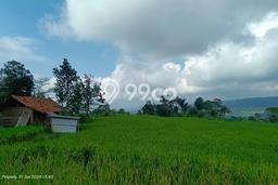Tanah di Bojong, Purwakarta Luas 12m2 Dijual Segera Tanah di Bojong, Purwakarta Luas 12m2 Dijual Segera