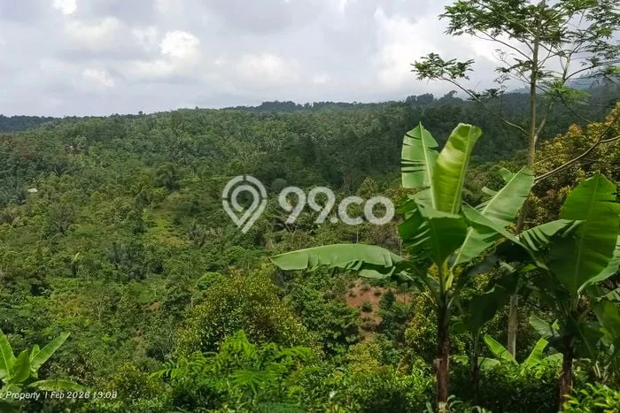 Kavling Tanah Dijual di Bojong, Purwakarta, Luas 2093m2 Area Strategis Kavling Tanah Dijual di Bojong, Purwakarta, Luas 2093m2 Area Strategis
