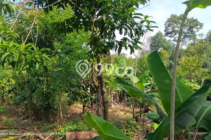 Kavling Tanah Dijual di Bojong Purwakarta Spesifikasi 1372m2 Kavling Tanah Dijual di Bojong Purwakarta Spesifikasi 1372m2