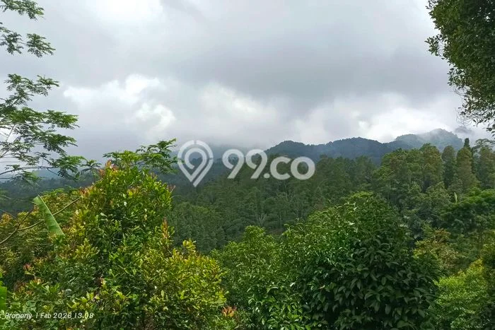 Kavling Tanah Dijual di Bojong, Purwakarta, Luas 2093m2 Area Strategis Kavling Tanah Dijual di Bojong, Purwakarta, Luas 2093m2 Area Strategis