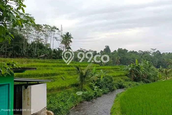 Tanah Kavling di Kiarapedes Dijual dengan Luas 3100m2 Tanah Kavling di Kiarapedes Dijual dengan Luas 3100m2