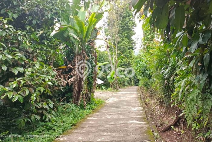Dijual Tanah di Wanayasa Purwakarta Luas 633m2 SHM Dijual Tanah di Wanayasa Purwakarta Luas 633m2 SHM