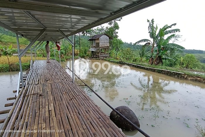 Untuk Dijual Tanah di Darangdan Purwakarta Luas 1m2 SHM Untuk Dijual Tanah di Darangdan Purwakarta Luas 1m2 SHM