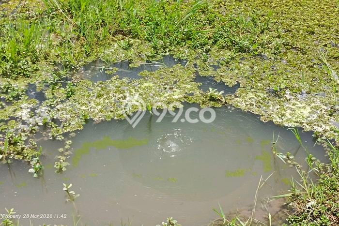 Kavling Tanah Dijual di Kiarapedes Purwakarta Spesifikasi 1200m2 Kavling Tanah Dijual di Kiarapedes Purwakarta Spesifikasi 1200m2