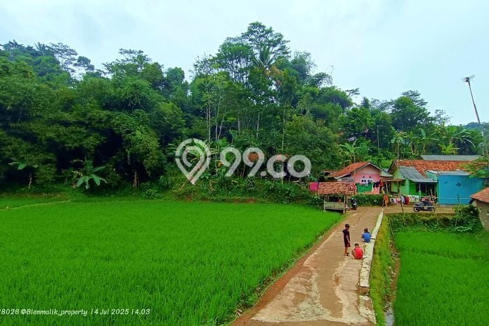 Kavling Tanah di Darangdan Dijual Luas 2050m2 Legalitas SHM Kavling Tanah di Darangdan Dijual Luas 2050m2 Legalitas SHM