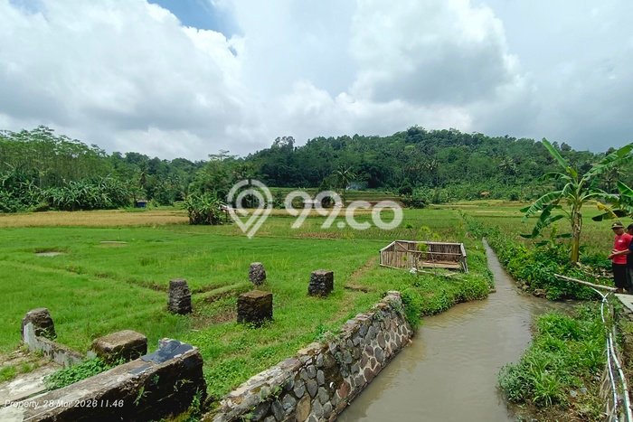Kavling Tanah Dijual di Kiarapedes Purwakarta Spesifikasi 1200m2 Kavling Tanah Dijual di Kiarapedes Purwakarta Spesifikasi 1200m2