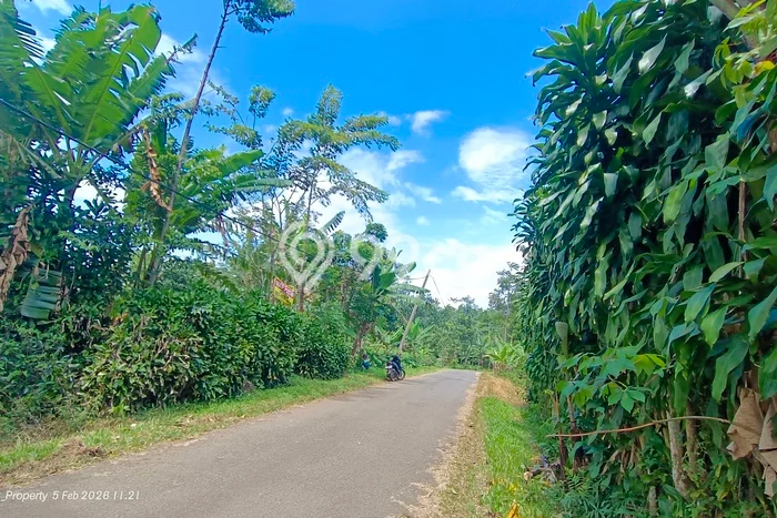 Tanah untuk Dijual Lokasi Kiarapedes, Purwakarta Luas 2227m2 SHM Tanah untuk Dijual Lokasi Kiarapedes, Purwakarta Luas 2227m2 SHM