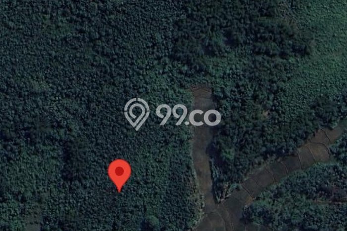 Tanah Dijual Lokasi Bogor Barat, Bogor Luas 17136m2 Legalitas Aman Tanah Dijual Lokasi Bogor Barat, Bogor Luas 17136m2 Legalitas Aman