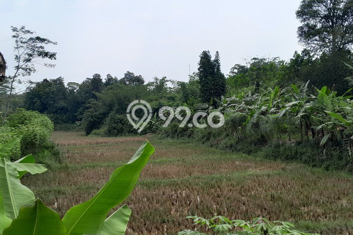 Tanah Dijual Lokasi Bogor Barat, Bogor Luas 17136m2 Legalitas Aman Tanah Dijual Lokasi Bogor Barat, Bogor Luas 17136m2 Legalitas Aman