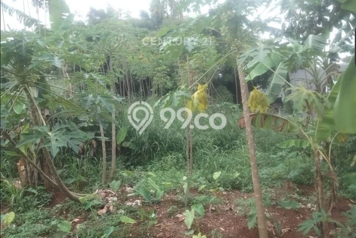 Lahan Dijual Lokasi Bogor Barat, Bogor dengan Luas Tanah 494m2 dan Status SHM Lahan Dijual Lokasi Bogor Barat, Bogor dengan Luas Tanah 494m2 dan Status SHM