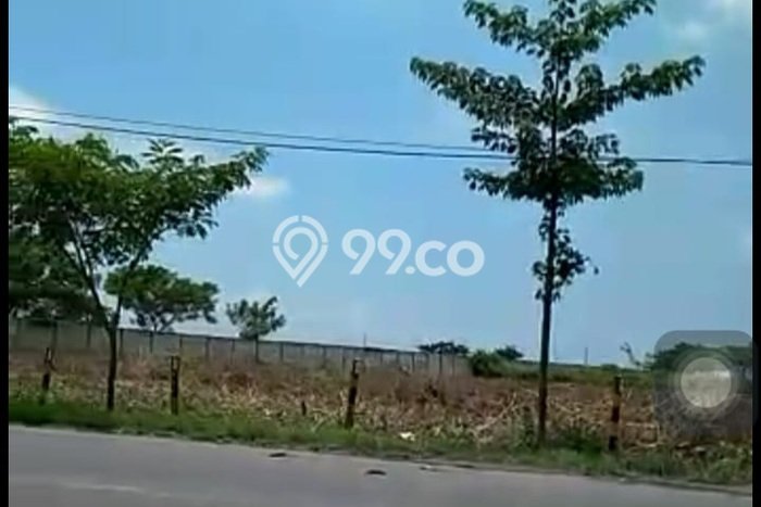 Jarang Ada! Tanah di Widang Punya Luas 40000m2 SHM Jarang Ada! Tanah di Widang Punya Luas 40000m2 SHM