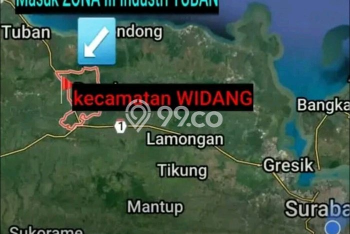 Jarang Ada! Tanah di Widang Punya Luas 40000m2 SHM Jarang Ada! Tanah di Widang Punya Luas 40000m2 SHM