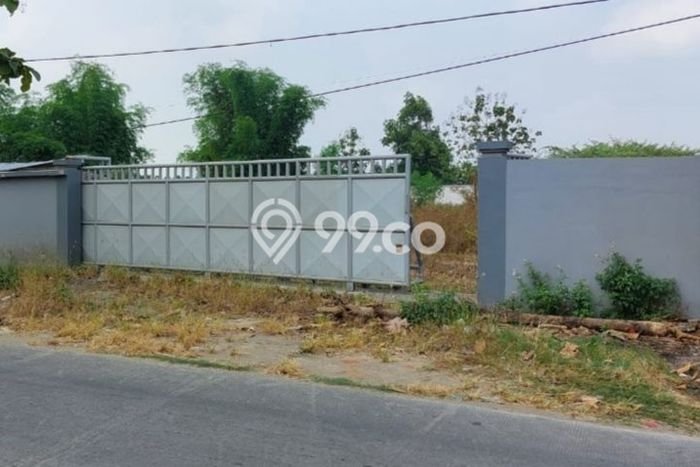 Lahan untuk Dijual Lokasi Wringinanom, Gresik Luas 2400m2 SHM Lahan untuk Dijual Lokasi Wringinanom, Gresik Luas 2400m2 SHM