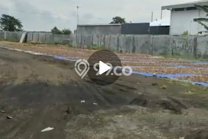 Gudang Bagus Dijual LB 2000m2 Lokasi Strategis Probolinggo Area Cocok untuk Bisnis Gudang Bagus Dijual LB 2000m2 Lokasi Strategis Probolinggo Area Cocok untuk Bisnis