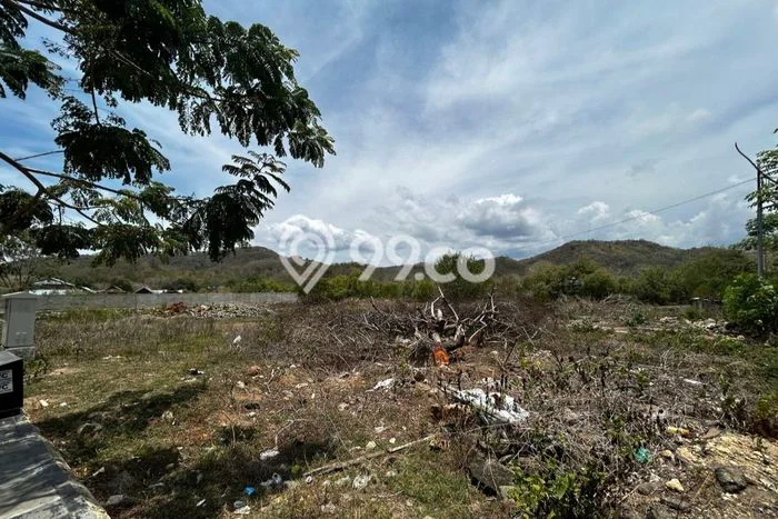 Kavling Tanah untuk Dijual di Labuan Bajo, Manggarai Barat, Luas 2591m2 Kavling Tanah untuk Dijual di Labuan Bajo, Manggarai Barat, Luas 2591m2