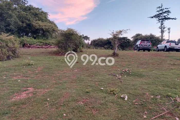 Tanah Disewakan Lokasi Ungasan Badung Luas 5000m2 Tanah Disewakan Lokasi Ungasan Badung Luas 5000m2