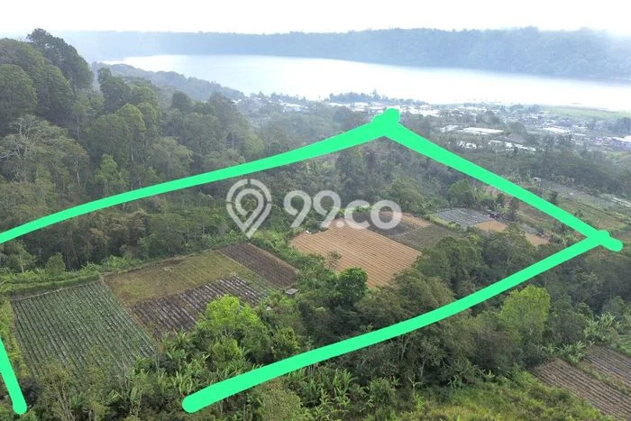 Tanah Komersial Kawasan Sukasada, Luas 12100m2m², Lokasi Strategis Tanah Komersial Kawasan Sukasada, Luas 12100m2m², Lokasi Strategis