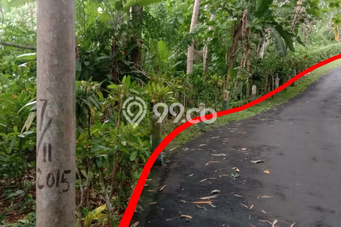 Disewakan Tanah Seluas 3730m2 di Pekutatan, Jembrana Disewakan Tanah Seluas 3730m2 di Pekutatan, Jembrana