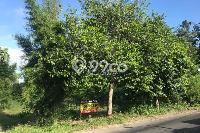 Tanah Disewakan Lokasi Badung Seluas 400m2 Strategis dan Aman Tanah Disewakan Lokasi Badung Seluas 400m2 Strategis dan Aman