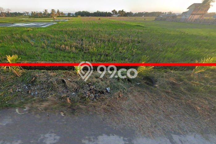 Lahan untuk Disewakan di Pekutatan Jembrana SHM Lahan untuk Disewakan di Pekutatan Jembrana SHM