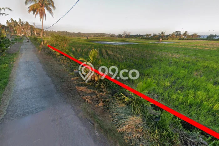 Lahan untuk Disewakan di Pekutatan Jembrana SHM Lahan untuk Disewakan di Pekutatan Jembrana SHM