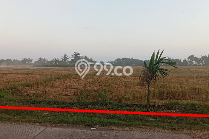 Lahan untuk Disewakan di Pekutatan Jembrana SHM Lahan untuk Disewakan di Pekutatan Jembrana SHM