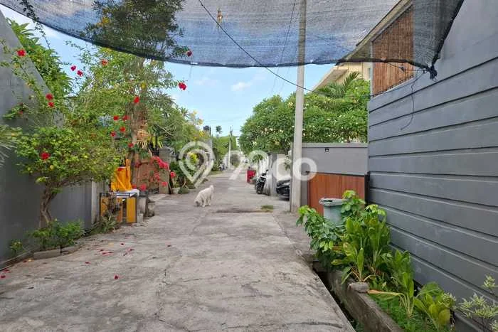 Rumah Asri area Denpasar Barat, 4 KM, Free Banjir Rumah Asri area Denpasar Barat, 4 KM, Free Banjir