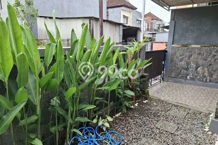 Disewakan Cepat Rumah Kondisi Bagus di Kawasan Mengwi, Badung Disewakan Cepat Rumah Kondisi Bagus di Kawasan Mengwi, Badung