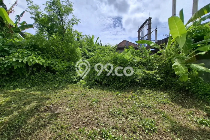 Tanah Dijual Lokasi Mengwi, Badung Luas 125m2 Legalitas Aman Tanah Dijual Lokasi Mengwi, Badung Luas 125m2 Legalitas Aman