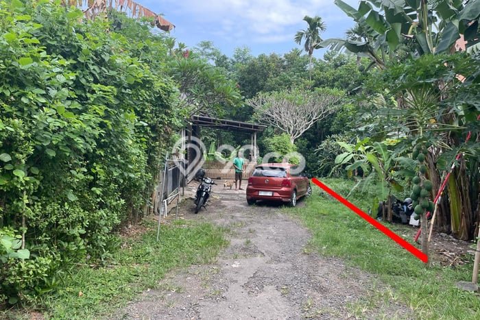 Tanah Siap Bangun Dijual di Gianyar Punya Luas 70m2 Tanah Siap Bangun Dijual di Gianyar Punya Luas 70m2
