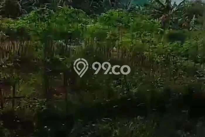 Tanah Dijual Area Strategis di Jatake Tangerang 70m2 Tanah Dijual Area Strategis di Jatake Tangerang 70m2