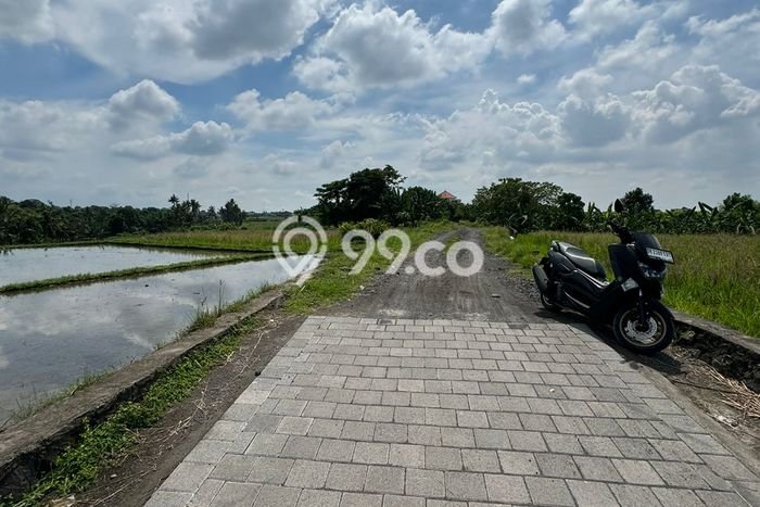 Tanah Dijual di Tabanan Seluas 1119m2 Strategis Tanah Dijual di Tabanan Seluas 1119m2 Strategis