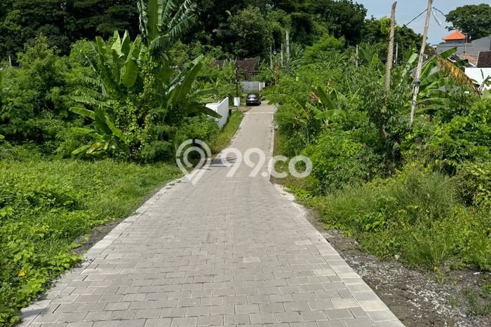 Tanah Dijual di Tabanan Seluas 1119m2 Strategis Tanah Dijual di Tabanan Seluas 1119m2 Strategis