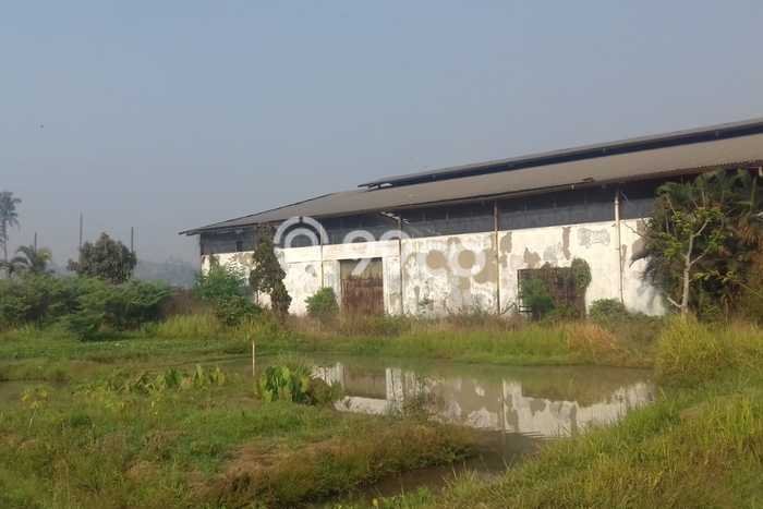 Pabrik Dijual Lokasi Emas di Majalaya Luas 5500m2 Pabrik Dijual Lokasi Emas di Majalaya Luas 5500m2