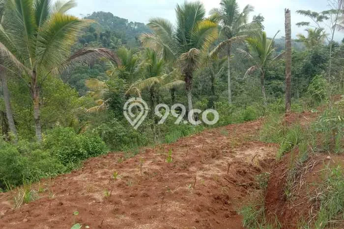 Tanah Kavling untuk Dijual di Ciamis Ciamis 10340m2 Tanah Kavling untuk Dijual di Ciamis Ciamis 10340m2
