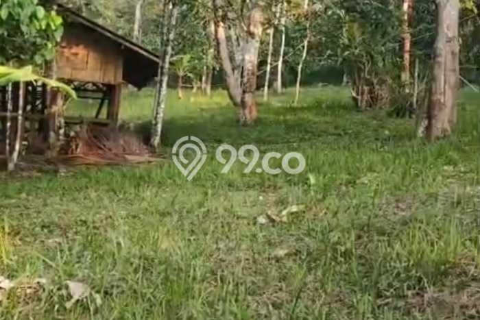 Kavling Tanah Dijual di Pandeglang, Pandeglang, Luas 6970m2 Area Strategis Kavling Tanah Dijual di Pandeglang, Pandeglang, Luas 6970m2 Area Strategis