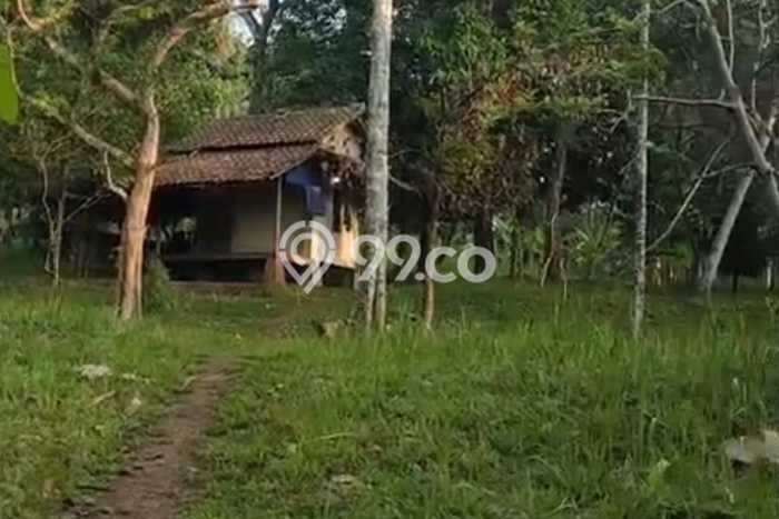 Kavling Tanah Dijual di Pandeglang, Pandeglang, Luas 6970m2 Area Strategis Kavling Tanah Dijual di Pandeglang, Pandeglang, Luas 6970m2 Area Strategis