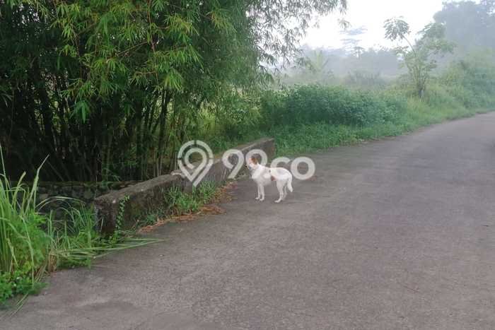 Tanah Kavling Dijual di Serang Timur, Serang dengan Luas Tanah 170000m2 Tanah Kavling Dijual di Serang Timur, Serang dengan Luas Tanah 170000m2