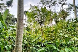 Tanah Komersial Dijual di Ngajum Malang 1824m2 Tanah Komersial Dijual di Ngajum Malang 1824m2