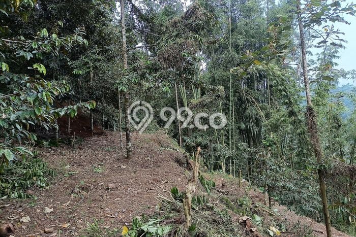 Dijual Tanah Kawasan Tajinan, Luas 1690m2m², Akses Tajinan, Malang, Malang Dijual Tanah Kawasan Tajinan, Luas 1690m2m², Akses Tajinan, Malang, Malang