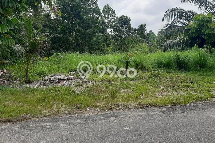 Lahan untuk Dijual di Bukit Raya Pekanbaru Luas 1118m2 Lahan untuk Dijual di Bukit Raya Pekanbaru Luas 1118m2