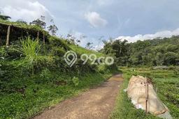 Tanah untuk Dijual Lokasi Ciwidey, Bandung Luas 3200m2 SHM Tanah untuk Dijual Lokasi Ciwidey, Bandung Luas 3200m2 SHM