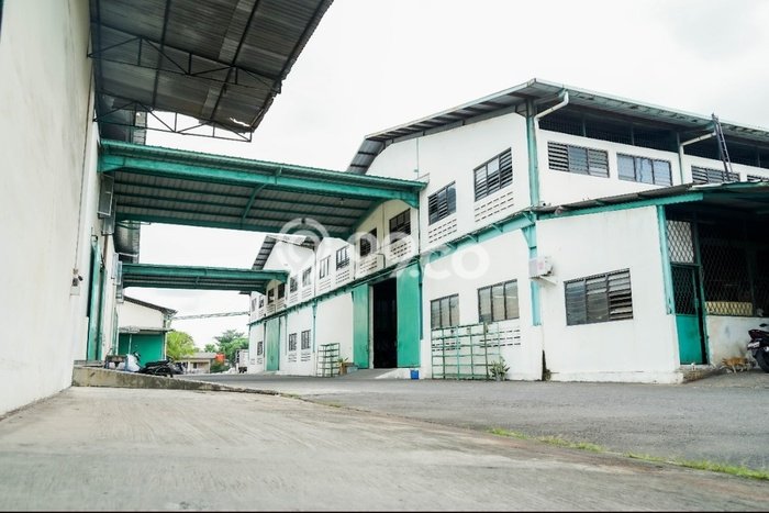 Gudang Bagus Dijual di Daan Mogot Jakarta Barat Strategis Cocok untuk Kembangkan Bisnis Gudang Bagus Dijual di Daan Mogot Jakarta Barat Strategis Cocok untuk Kembangkan Bisnis