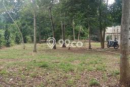 Tanah Kavling untuk Dijual di Padalarang Bandung Barat 1700m2 Tanah Kavling untuk Dijual di Padalarang Bandung Barat 1700m2
