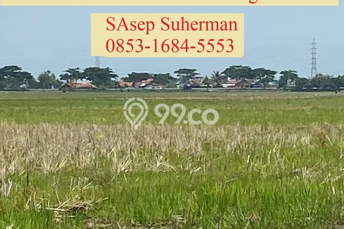 Tanah untuk Dijual Lokasi Blanakan, Subang Luas 24500m2 SHM Tanah untuk Dijual Lokasi Blanakan, Subang Luas 24500m2 SHM