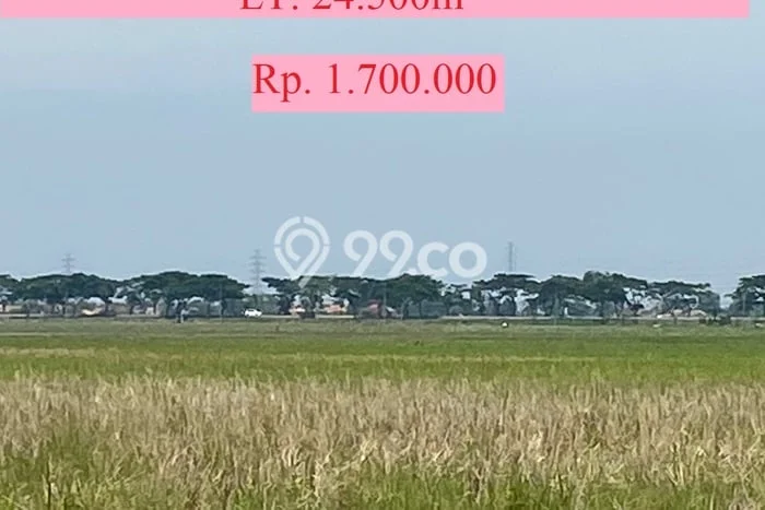 Kavling Tanah Dijual di Ciasem Subang Spesifikasi 24500m2 Kavling Tanah Dijual di Ciasem Subang Spesifikasi 24500m2