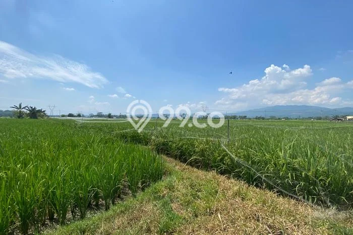 Tanah Kavling Dijual di Bogor dengan Spesifikasi 2475m2 Tanah Kavling Dijual di Bogor dengan Spesifikasi 2475m2