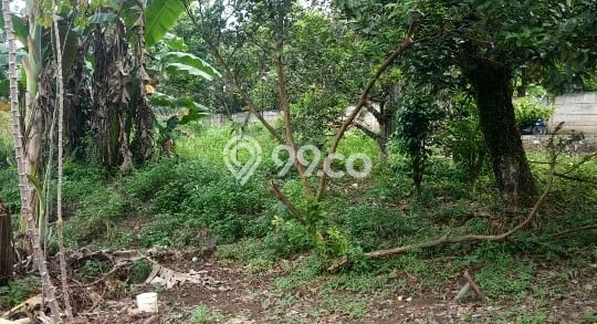 Tanah Dijual di Bogor Seluas 225m2 Strategis Tanah Dijual di Bogor Seluas 225m2 Strategis